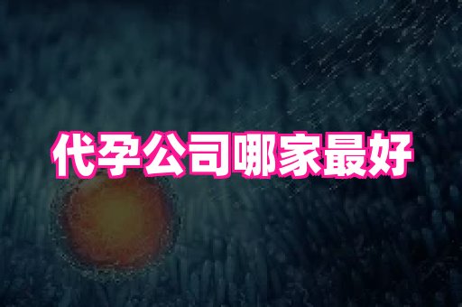 nub孕网 1